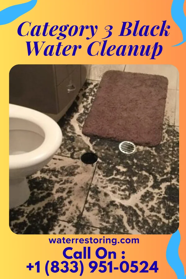 Category 3 Black Water Cleanup in Beachwood, NJ