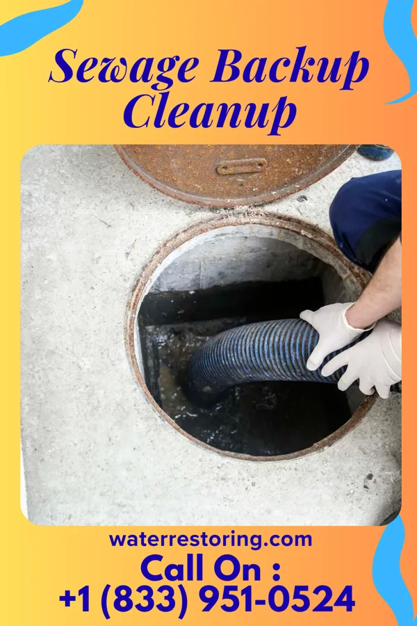 Sewage Backup Cleanup in Beachwood, NJ