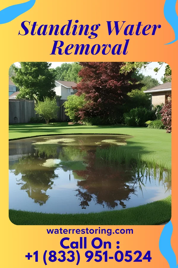 Standing Water Removal in Beachwood, NJ